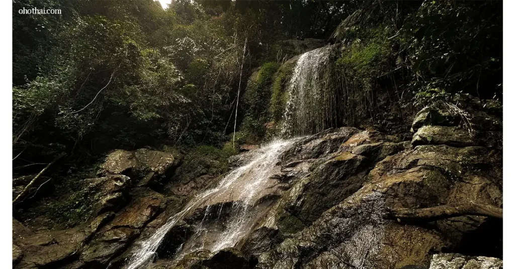 Tan Rua Waterfall กลายเป็นจุดหมายใหม่ที่นักท่องเที่ยวสายธรรมชาติเริ่มให้ความสนใจมากขึ้น ด้วยบรรยากาศเงียบสงบท่ามกลางผืนป่าและสาย