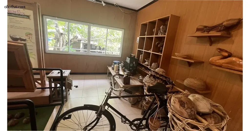 Coconut Museum พิพิธภัณฑ์มะพร้าว แหล่งเรียนรู้ใหม่ที่พลิกภาพผลไม้พื้นบ้านให้กลายเป็นสมบัติทางวัฒนธรรม พิพิธภัณฑ์มะพร้าวกำลัง