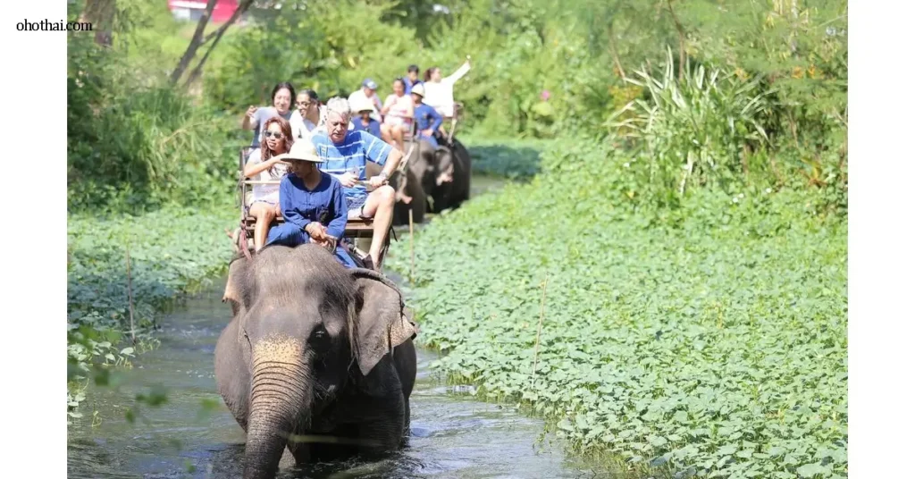 Elephant Village Pattaya หมู่บ้านช้างพัทยา เป็นแหล่งท่องเที่ยวเชิงอนุรักษ์ที่มีชื่อเสียงมายาวนาน ตั้งอยู่ท่ามกลางธรรมชาติอันร่มรื่นในเขตชาน