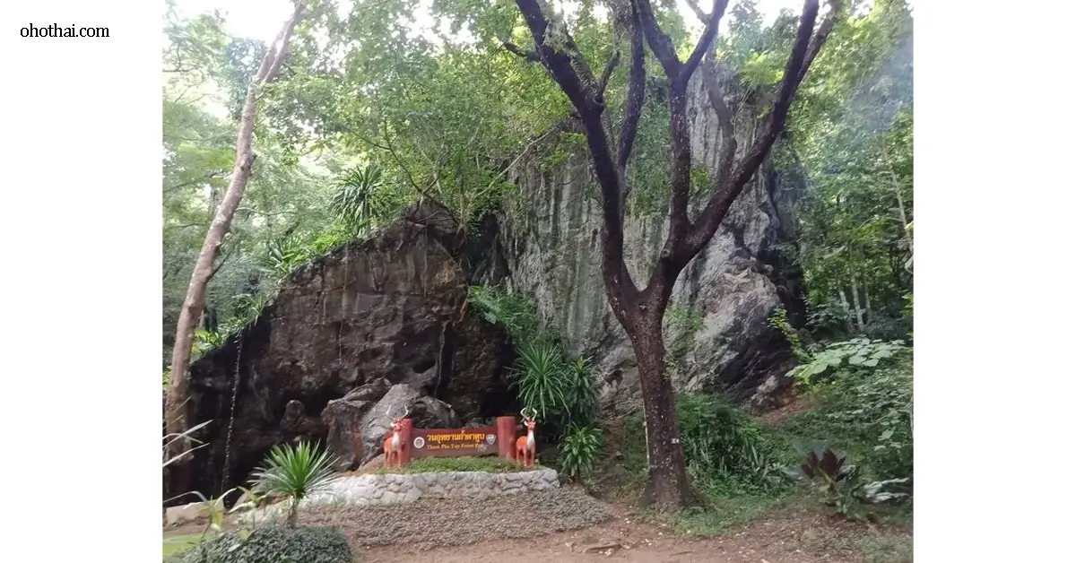 Tham Pha Tup Forest Park
